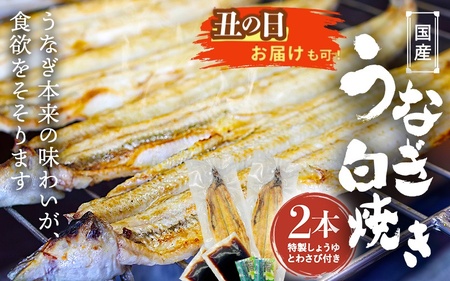 [土用の丑の日までにお届け]国産うなぎ白焼(2本) / 和歌山 田辺市 国産 国産うなぎ 国産鰻 うなぎ 鰻 鰻丼 うな丼 土用の丑の日[ots019-dy]