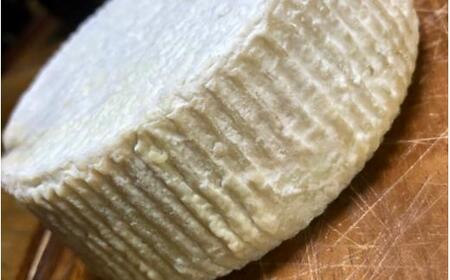 Ushi カチョッタチーズ1個 / チーズ サンドイッチ 乳牛 牛 ミルク チーズ 和歌山県 田辺市[dal011]