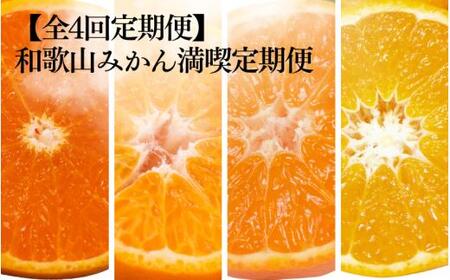 [全4回定期便]和歌山みかん満喫定期便 (早生みかん・ぽんかん・季節のお任せ柑橘・せとか各3kgずつ) ※2025年12月より4回お届け / 柑橘 せとか フルーツ 早生 ミカン 和歌山 果物 田辺市 くだもの[tcs022-tk]