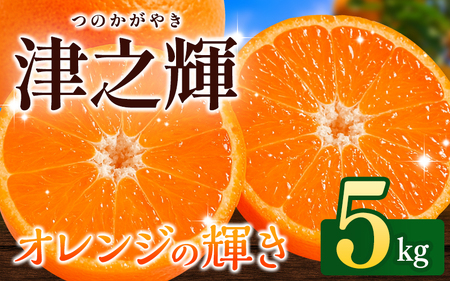 ＼先行予約/ 津の輝(つのかがやき)5kg(2026年2月以降順次発送予定) / みかん 津の輝 柑橘 かんきつ フルーツ 果物 紀州産 和歌山県 田辺市[tcs026]