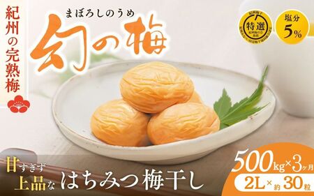 [3ヶ月定期便] 大人気梅干し 幻の梅 500g (粒2L/約30粒) [はちみつ梅干/塩分5%] / 梅干し 梅干 紀州南高梅 南高梅 梅 和歌山 田辺 はちみつ 蜂蜜 減塩 5% 塩分控えめ ご飯のお供 お歳暮 ギフト お祝い お歳暮ギフト[okh028-tk]
