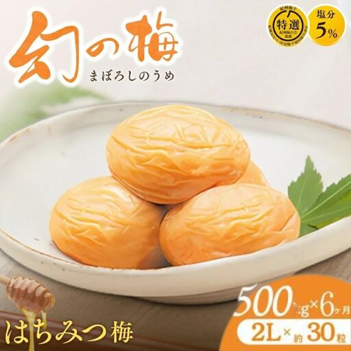 【6ヶ月定期便】 大人気梅干し 幻の梅 500g (粒2L/約30粒) 【はちみつ梅干/塩分5％】 / 梅干し 梅干 紀州南高梅 南高梅 梅 和歌山 田辺 はちみつ 蜂蜜 減塩 5％ 塩分控えめ ご飯のお供 お歳暮 ギフト お祝い お歳暮ギフト【okh029-tk】