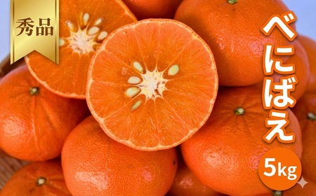 [2027年分先行予約]べにばえ 5kg ※2027年1月上旬〜順次発送予定[期間限定・数量限定] / みかん 蜜柑 5キロ 紅映 お取り寄せ 産地直送 贈答品 ギフト 果物 くだもの フルーツ 田辺市 和歌山県[ymh024]