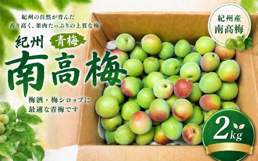 [期間限定・2026/6/10まで] 紀州南高梅 青梅 2kg※2026年6月中下旬から順次発送予定※ / 紀州南高梅 梅シロップ 梅ジュース 梅酒 和歌山県 [khn004]