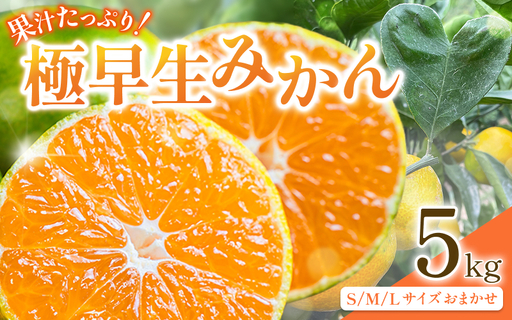 先行予約 紀州田辺産 果汁たっぷりの極早生みかん5kg(S/M/Lサイズおまかせ) ※9月中旬に順次発送予定[期間限定・8/31まで] / 和歌山県 ミカン 期間限定 秋 柑橘 フルーツ 果物 紀州産[kjt017]