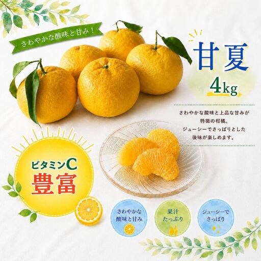 甘夏 [秀品]4kg 人気[期間限定・数量限定・先行予約]柑橘 産地直送 贈答品 ギフト 果物 フルーツ 田辺市 和歌山県 甘夏 [ymh027]