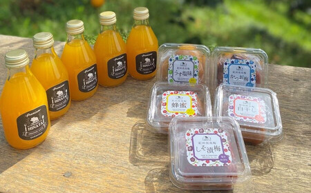 ひなたの南高梅5種類食べ比べ(各80g)&ひなたのみかんジュース180ml5本入り / 和歌山 田辺市 紀州南高梅 梅干し 梅干 梅 うめ 肉厚 お米 おにぎり 焼酎 梅酒 健康 白干し梅 しそ漬け梅 かつお はちみつ梅 うす塩 みかん ジュース セット 食べ比べ[hnt002]