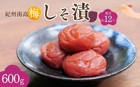 紀州南高梅 しそ漬(塩分約12%)600g / 梅干し 梅干 梅 うめ 肉厚 お米 おにぎり 焼酎 梅酒 健康 しそ梅 産地直送 和歌山 [nkn005-2]