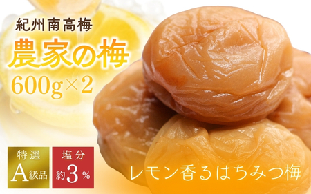 紀州南高梅「農家の梅」はちみつ梅(塩分約3%)600g×2 ※レモンパウダー入り / 紀州南高梅 梅干し 梅干 梅 うめ 和歌山 田辺市 肉厚 お米 おにぎり 焼酎 梅酒 健康 はちみつ梅 塩分約3% 控えめ レモン[nkn801-1]