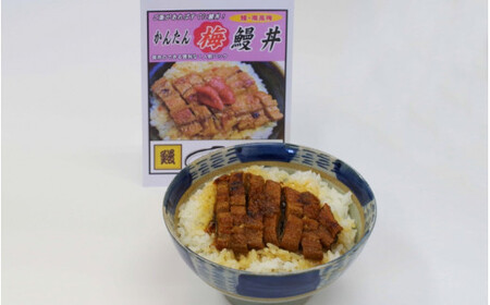 かんたん鰻丼 (梅味)1人前×5食セット [湯煎するだけで簡単に鰻丼ができます] / 和歌山 田辺市 国産 国産鰻 鰻 うなぎ 鰻丼 うな丼 梅 梅味 簡単 お手軽 かんたん 土用の丑の日 冷凍 [ots010]