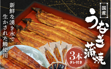 YȂāi3{j^t / Ȃ V EiM a̎R cӎs Y YȂ YV Ȃ V V Ș yp̉N̓ yots017z