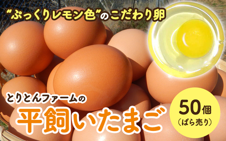 とりとんファームの平飼いたまご50個(ばら売り) / 田辺市 卵 たまご 鶏卵 平飼い 卵かけごはん[trt008-2-c]