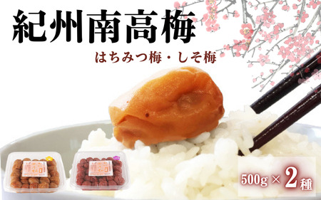 ご家庭用紀州南高梅 [はちみつ&しそ]500g×2種 / 田辺市 紀州南高梅 梅干し 梅干 梅 はちみつ梅 はちみつ漬け しそ梅 漬け かつお梅 白干し梅 昔ながらの梅干し 梅干セット 食べ比べ セット 詰め合わせ[umy024-1]