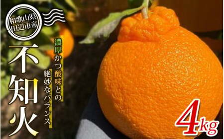 [期間限定1/31まで]不知火4kg※2025年3月から順次発送予定※ / 和歌山県 不知火 デコポン フルーツ 果物 柑橘 田辺市 [nak015-1]