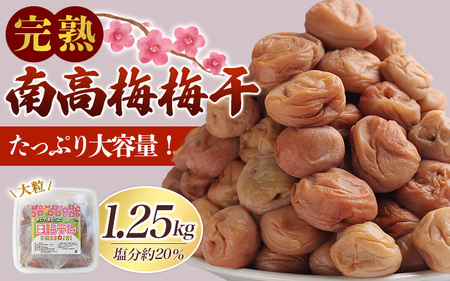 完熟南高梅 白梅干し 1.25kg 塩分約20% 完全無添加 サイズ混合 ご家庭用/梅 うめ ウメ 梅干し 梅干 南高梅 白干 白干し 白梅 白梅干し 完熟 大粒 無添加 大容量 ご自宅用 和歌山県 北山村[njb647-1]