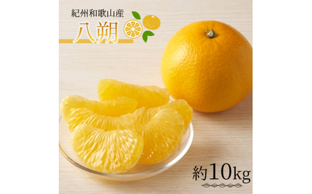IBa̎RY i͂j 10kg 2026N2{`2026N2{ɏ tws  ͂ k ʕ  t[cyuot785z