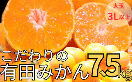 [農家直送]有田みかん 約7.5kg 大玉3L以上 有機質肥料100% ※2025年12月初旬〜1月中旬に順次発送(お届け日指定不可)/みかん ミカン 温州みかん 柑橘 有田 和歌山 産地直送[nuk158C]