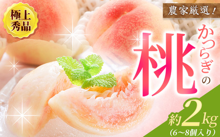 [先行予約][厳選]あふれる果汁で口いっぱい! 和歌山県産 桃 約2kg(6個~9個) 2025年6月末頃〜2025年8月末頃に順次発送予定(お届け日指定不可)/ 和歌山 桃 モモ フルーツ もも 白桃 果物 くだもの[kgr001]