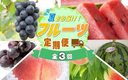 [定期便]夏をお届け!フルーツ定期便!小玉すいか・桃・ピオーネ(全3回)/ フルーツ 果物 すいか ひとりじめ7 もも モモ ぶどう ブドウ 旬 定期便 [tkb345]