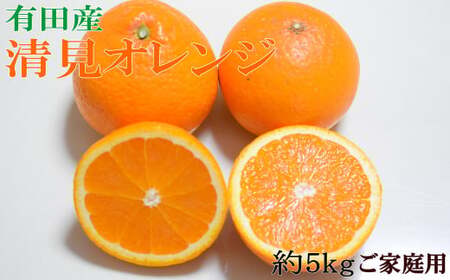 [濃厚]有田産清見オレンジ約5kg(M〜3Lサイズおまかせ)ご家庭用 ※2026年2月中旬〜2026年3月中旬頃に順次発送予定(日付指定不可)[tec959A]