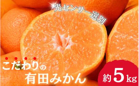 [2024年12月発送]＼光センサー選別/農家直送 [家庭用]こだわりの有田みかん 約5kg+250g(傷み補償分) みかん ミカン 有田みかん 温州みかん 柑橘 有田 和歌山[nuk160-2A]