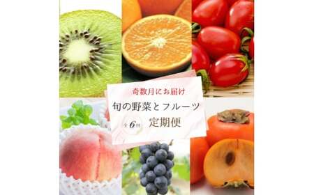 [全6回定期便]奇数月にお届け♪旬の野菜とフルーツ定期便!キウイ・清見オレンジ・アイコトマト・桃・ピオーネ・富有柿[tkb357]