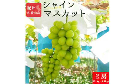 紀州和歌山産シャインマスカット2房(約1kg〜1.4kg) ※2025年8月中旬頃〜2025年9月上旬頃に順次発送予定 / マスカット 種無し フルーツ 果物 くだもの[uot813]