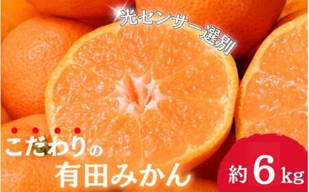 [12月発送]＼光センサー選別/農家直送 こだわりの完熟有田みかん 約6kg+250g(傷み補償分) [ご家庭用]みかん ミカン 有田みかん 温州みかん 柑橘 有田 和歌山 産地直送[nuk102-2]