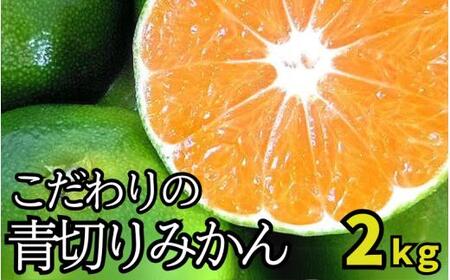 [2025年秋頃発送予約分]＼光センサー選別/ [農家直送]こだわりの青切りみかん 約2kg 有機質肥料100% サイズ混合 ※2025年9月下旬より順次発送予定(お届け日指定不可)[nuk169]