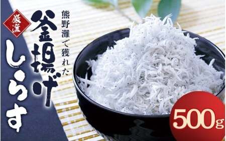 g炷500gij / 炷 VX g yojs013z