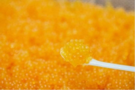 近大いくら（冷凍） 100g / 近大 いくら イクラ 海鮮 アマゴ【akd006】