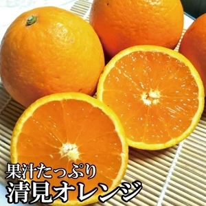 ＼光センサー選別/ [農家直送]果汁たっぷり!清見オレンジ 約8kg 有機質肥料100% サイズ混合 ※2026年3月上旬より順次発送予定(お届け日指定不可)[nuk112B]