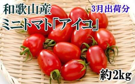 [2025年3月出荷分]和歌山産ミニトマト「アイコトマト」約2kg(S・Mサイズおまかせ)[tec100-3]