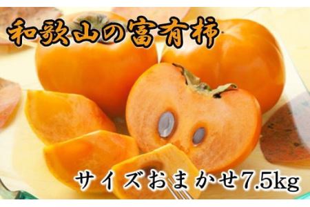 [甘柿の王様]和歌山産富有柿約7.5kgサイズおまかせ※2025年11月上旬〜2025年12月上旬頃に順次発送[tec400A]