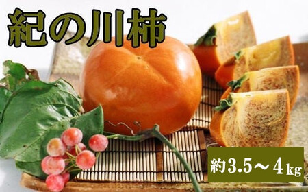[希少]紀の川柿(種無し)約3.5〜4kg・秀品 ※2025年10月中旬〜2025年11月中旬頃に順次発送[tec404B]