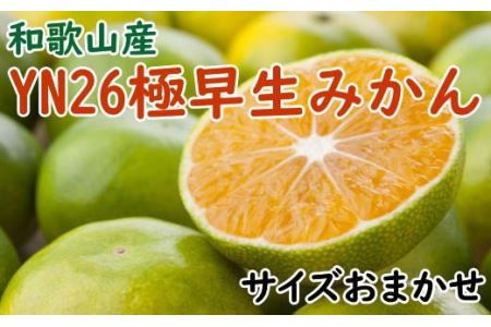 yYzYN26ɑ݂5kgi2S`MTCY܂j2025N9{`11{菇ytec800Az