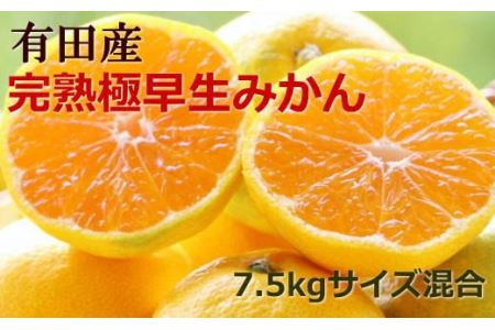 yIzIBLc̊nɑ݂7.5kg(TCY) 2025N10{菇ytec802Az