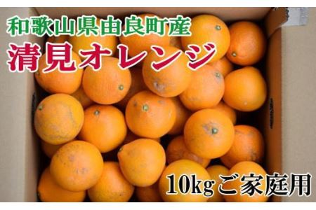 [訳あり・ご家庭用]和歌山由良町産の濃厚清見オレンジ約10kg ※2025年2月中旬〜2025年2月下旬頃(お届け日指定不可)[tec877]
