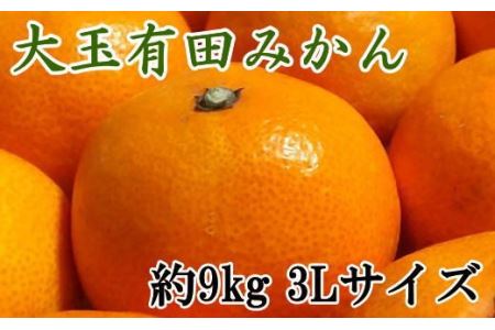 [食べごたえ十分]有田みかん大玉約9kg(3Lサイズ・秀品) ※2026年11月中旬〜2027年1月中旬頃順次発送予定(お届け日指定不可)[tec879B]