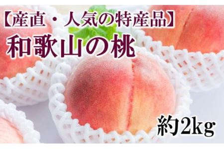 [産直・人気の特産品]和歌山の桃 約2kg・秀品 ※2025年6月下旬〜8月上旬頃順次発送[tec910A]