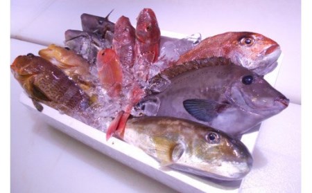＼朝どれ新鮮/ 鮮魚セット (小) 約3kg 目利きのプロが厳選した旬の魚をその日の内に発送![nss404]