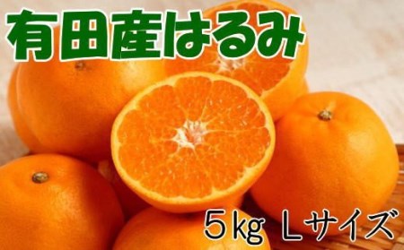 果物 くだもの フルーツ 蜜柑 みかん [厳選・濃厚]紀州有田産のはるみ約5kg(Lサイズ) ※2025年1月下旬〜2025年2月中旬頃に順次発送(お届け日指定不可)[tec914A]