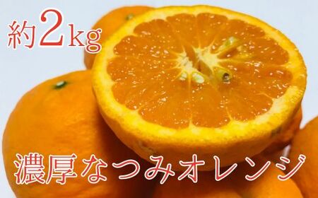 【みかん名産地和歌山有田】濃厚なつみオレンジ(ご家庭用) 約２．５kg【ard035】