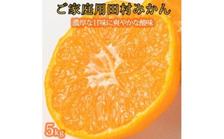 [ご家庭用訳あり]田村みかん 5kg ※2024年11月下旬頃〜2025年1月下旬頃に順次発送予定[uot754]