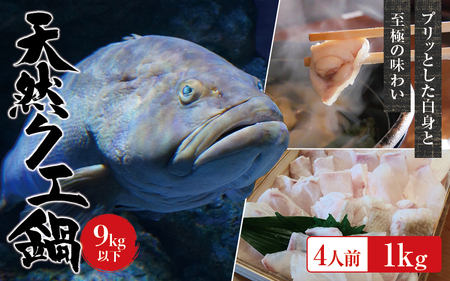 y①zVR NG 9kg ȉ NGZbg 4lO(250g×4) y2025N11{2026N2{܂łɏv܂Bz /  CN     NG  VR ① CYytkw004-1z