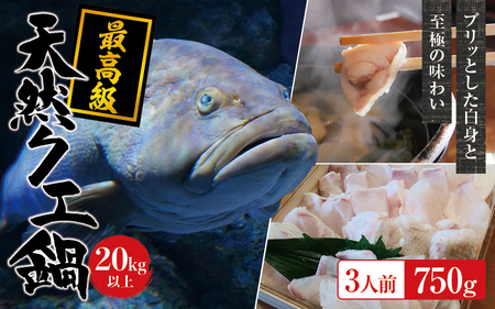 y①zVR ōNG 20kg ȏ  NGZbg 3lO(250g×3) y2025N11{2026N2{܂łɏv܂Bz /  CN     NG  VR ① CYy