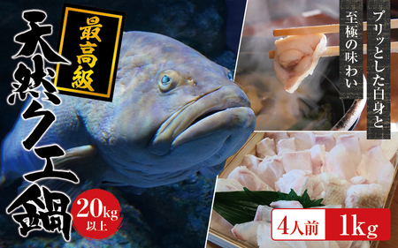 y①zVR ōNG 20kg ȏ  NGZbg 4lO(250g×4) y2025N11{2026N2{܂łɏv܂Bz /  CN     NG  VR ① CYy