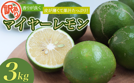 レモン 国産 マイヤーレモン 数量限定 訳あり / はぎファームの訳ありマイヤーレモン 3kg [2024年10月〜2025年3月下旬の期間で順次発送][hgf003A]