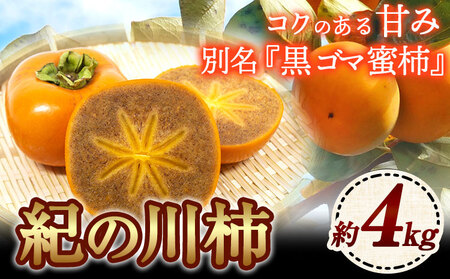 ys\zI̐` 4kg ݕʊЁs2025N10{-12{oׁt a̎R I̐s ` JL  S}` ʕ t[c 