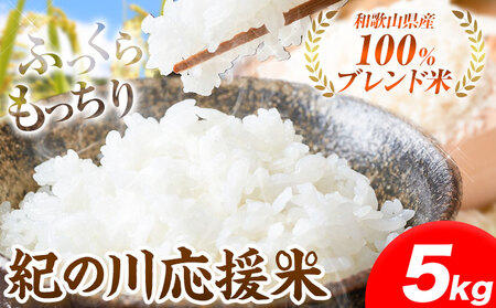 令和6年産 米 5kg お米 白米 5キロ 紀の川応援米[30日以内に出荷予定(土日祝除く)]和歌山県 紀の川市 送料無料 国産 こめ 米 白米 精米 米 米